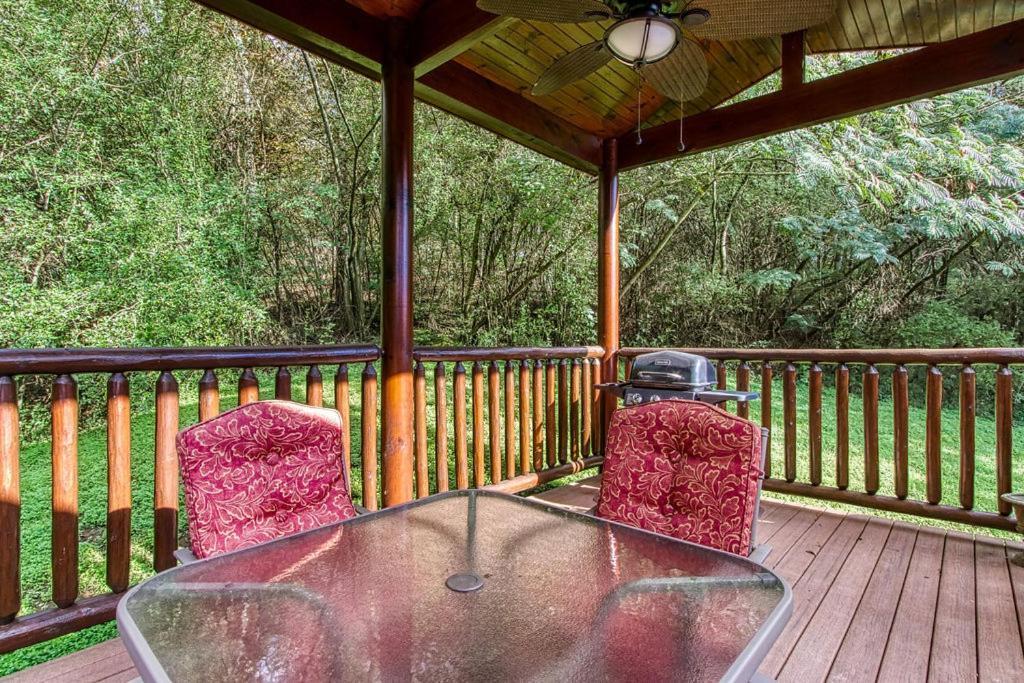 Papa Bear, Hot Tub, Wifi, 1089 Free Tickets Each Paid Day, Dollywood And More Sevierville Dış mekan fotoğraf
